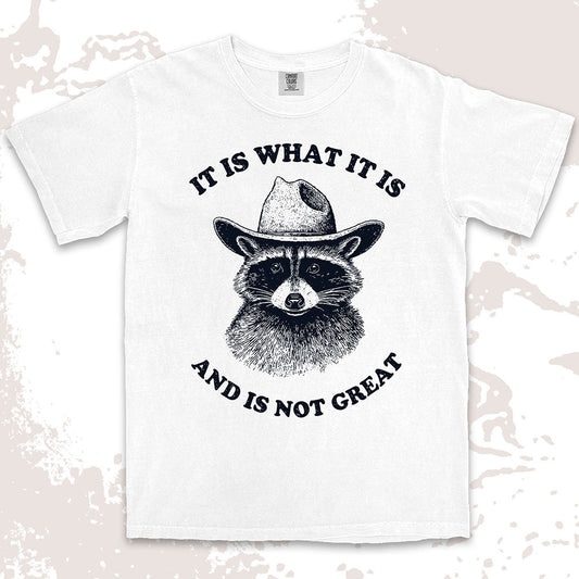 it is what it is raccoon shirt cowboy funny sad humor tee