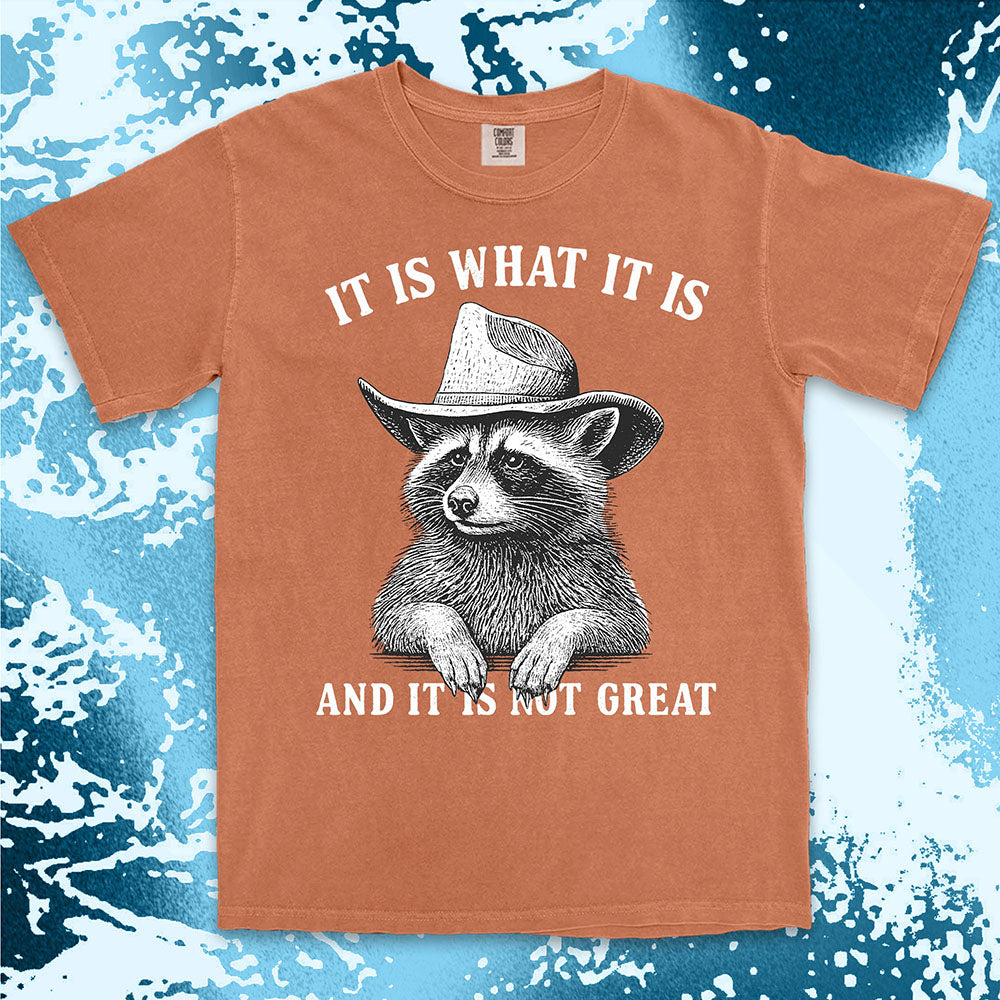 It is what it is raccoon shirt funny sarcastic cowboy tee