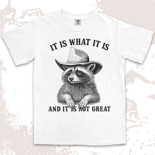 It is what it is raccoon shirt funny sarcastic cowboy tee