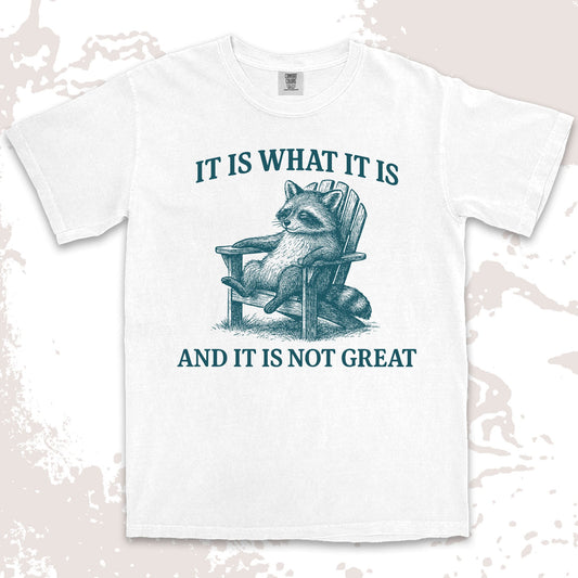 it is what it is not great raccoon comfort colors t-shirt sitting on chair