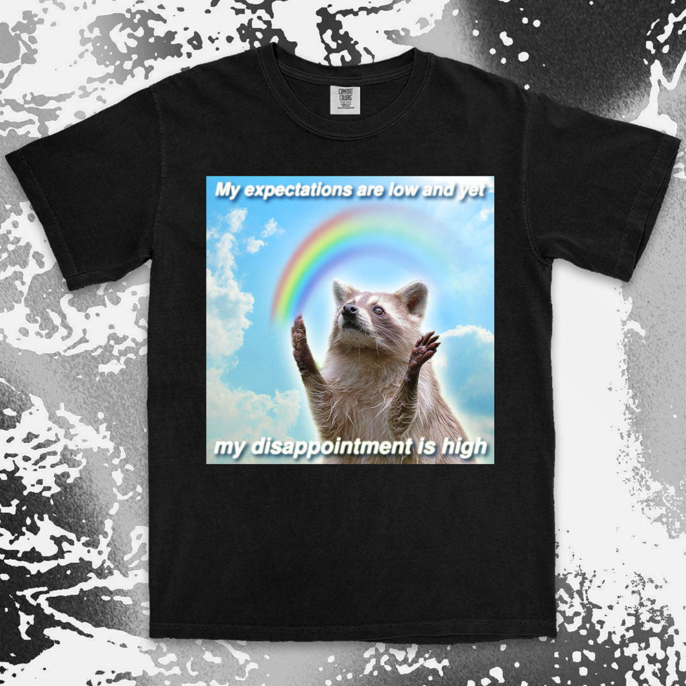 low expectations high disappointment raccoon shirt funny sad meme tee