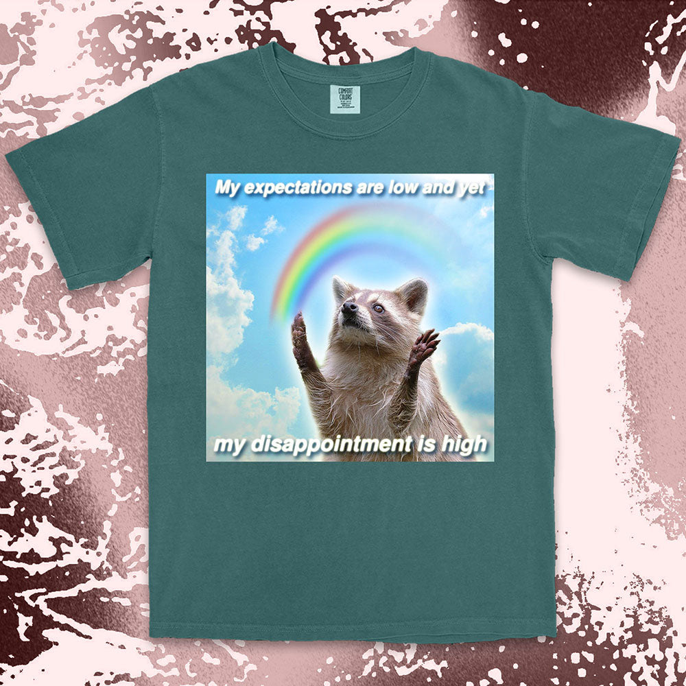 low expectations high disappointment raccoon shirt funny sad meme tee