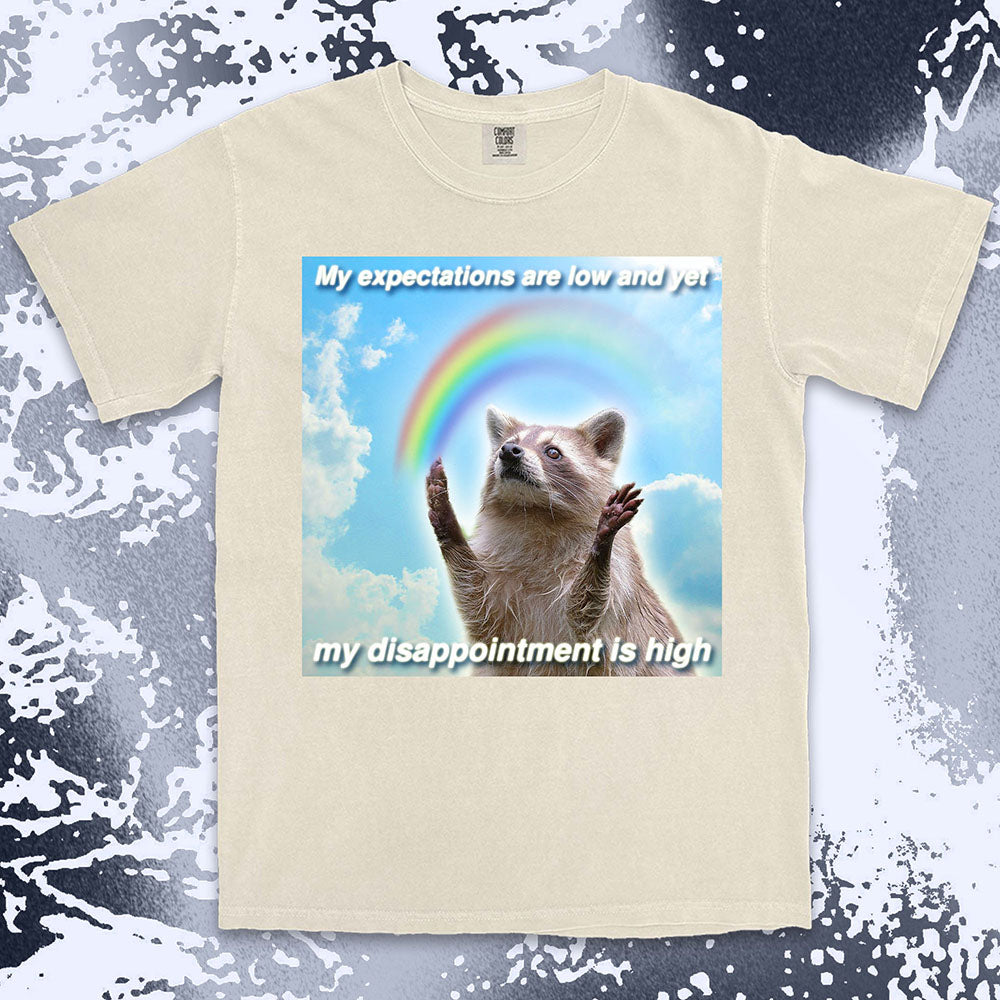 low expectations high disappointment raccoon shirt funny sad meme tee