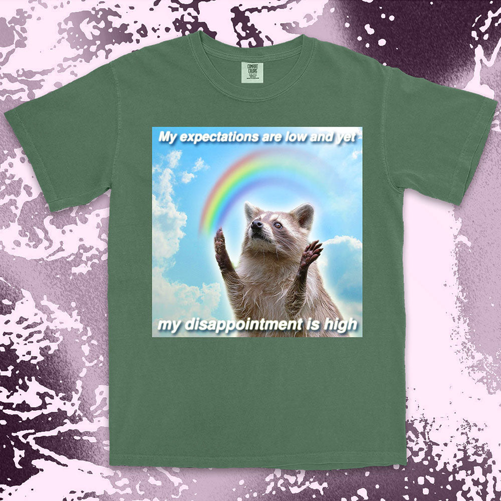 low expectations high disappointment raccoon shirt funny sad meme tee