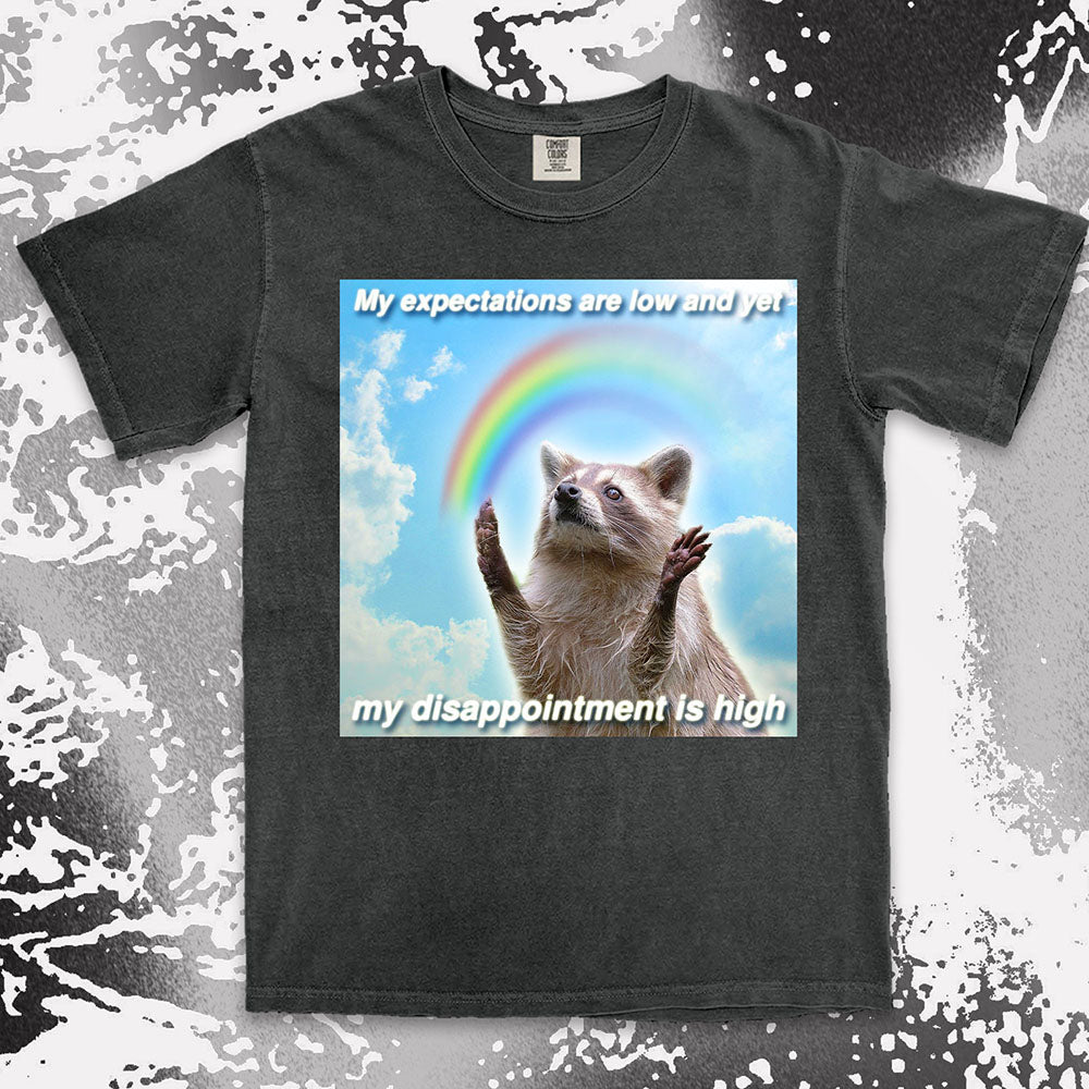 low expectations high disappointment raccoon shirt funny sad meme tee