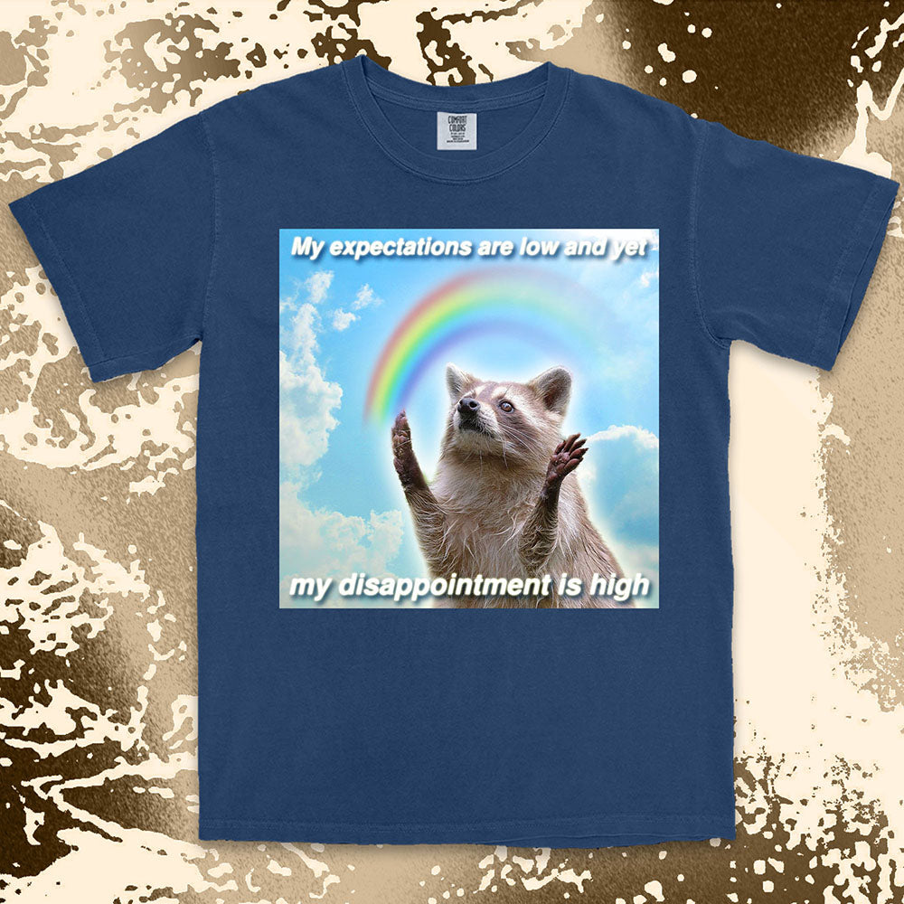 low expectations high disappointment raccoon shirt funny sad meme tee