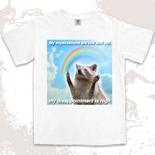 low expectations high disappointment raccoon shirt funny sad meme tee