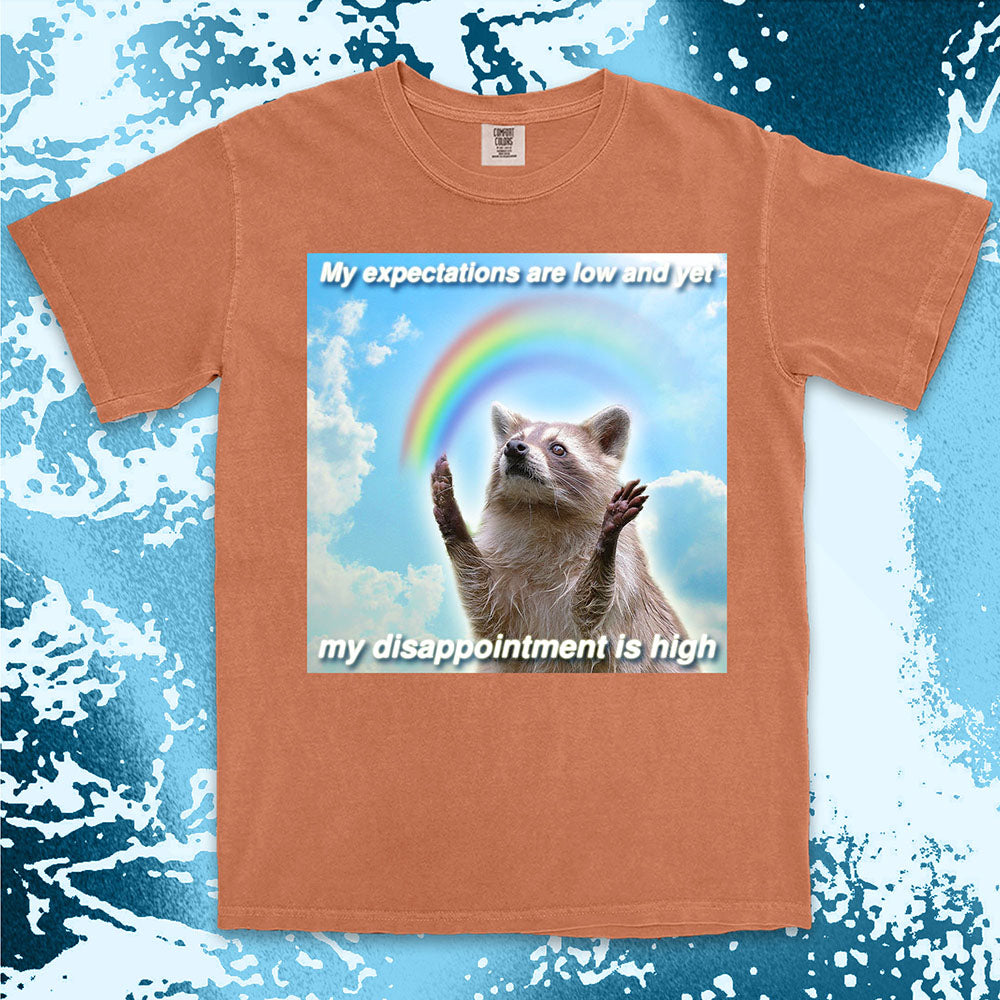 Orange t-shirt with a graphic of a raccoon and rainbow, text 'My expectations are low and yet my disappointment is high', on a blue and white abstract background.