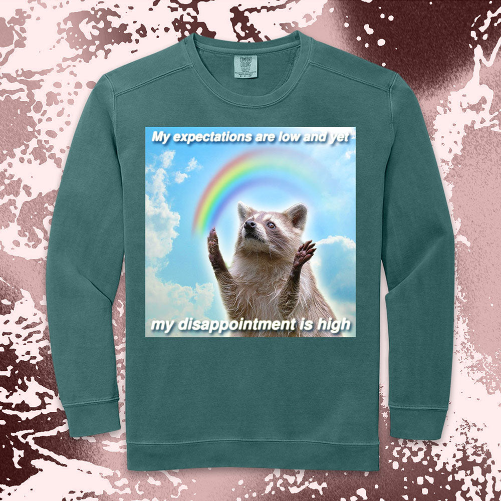 Low Expectations High Disappointment Raccoon Shirt