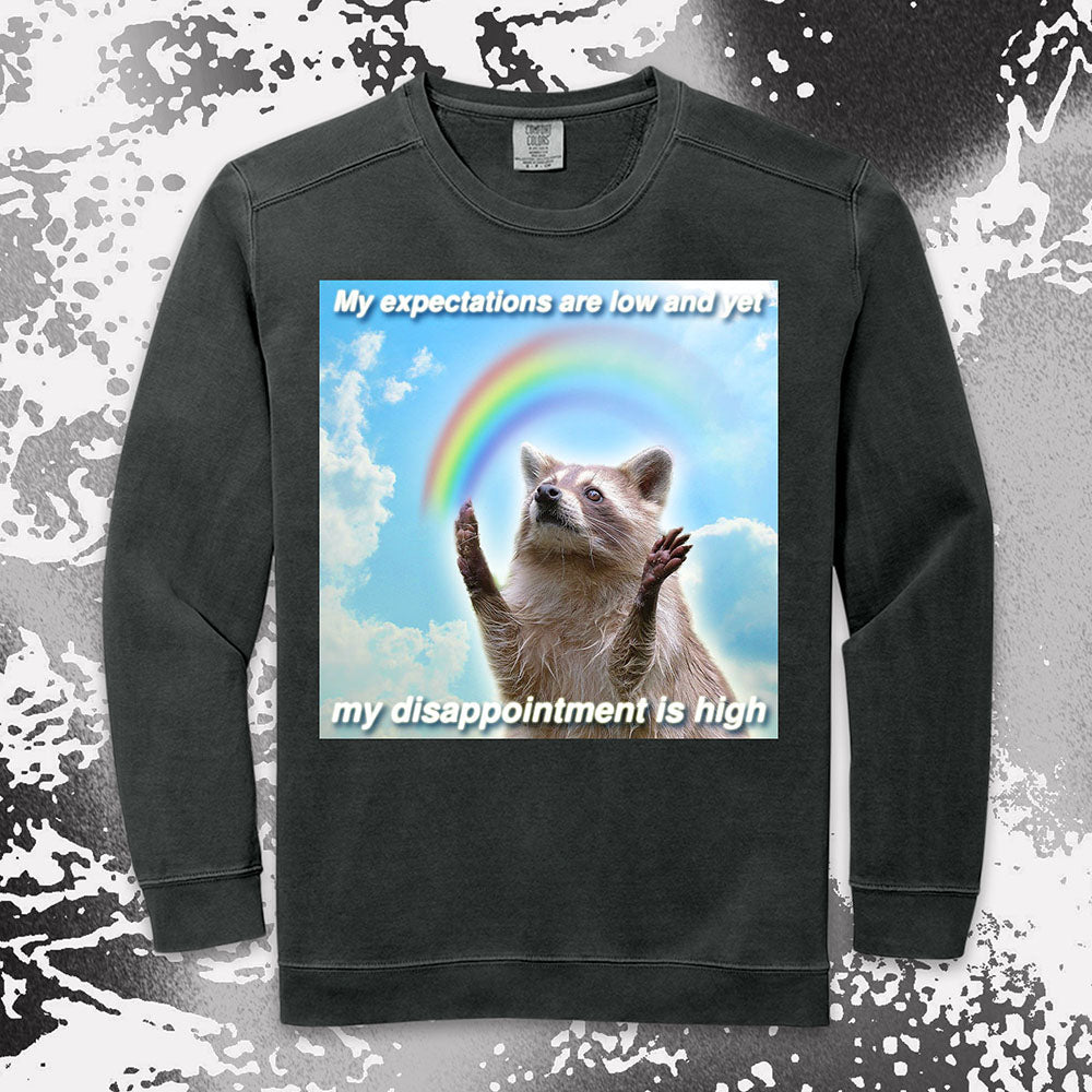 Low Expectations High Disappointment Raccoon Shirt