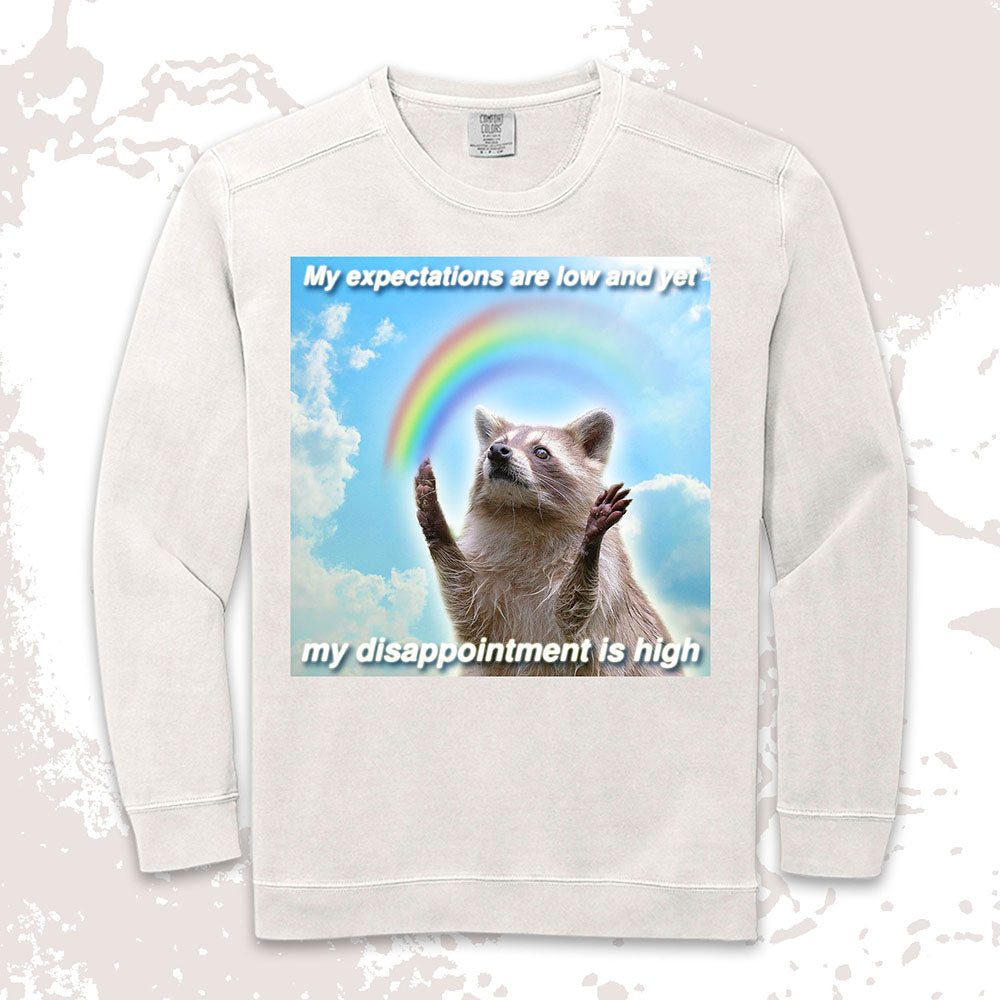 Low Expectations High Disappointment Raccoon Shirt
