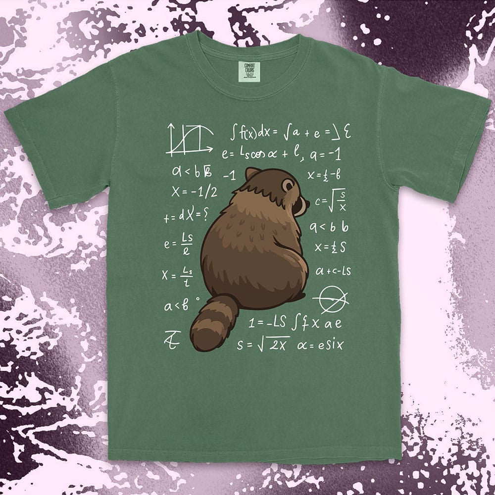 math raccoon surrounded by equations comfort colors t-shirt