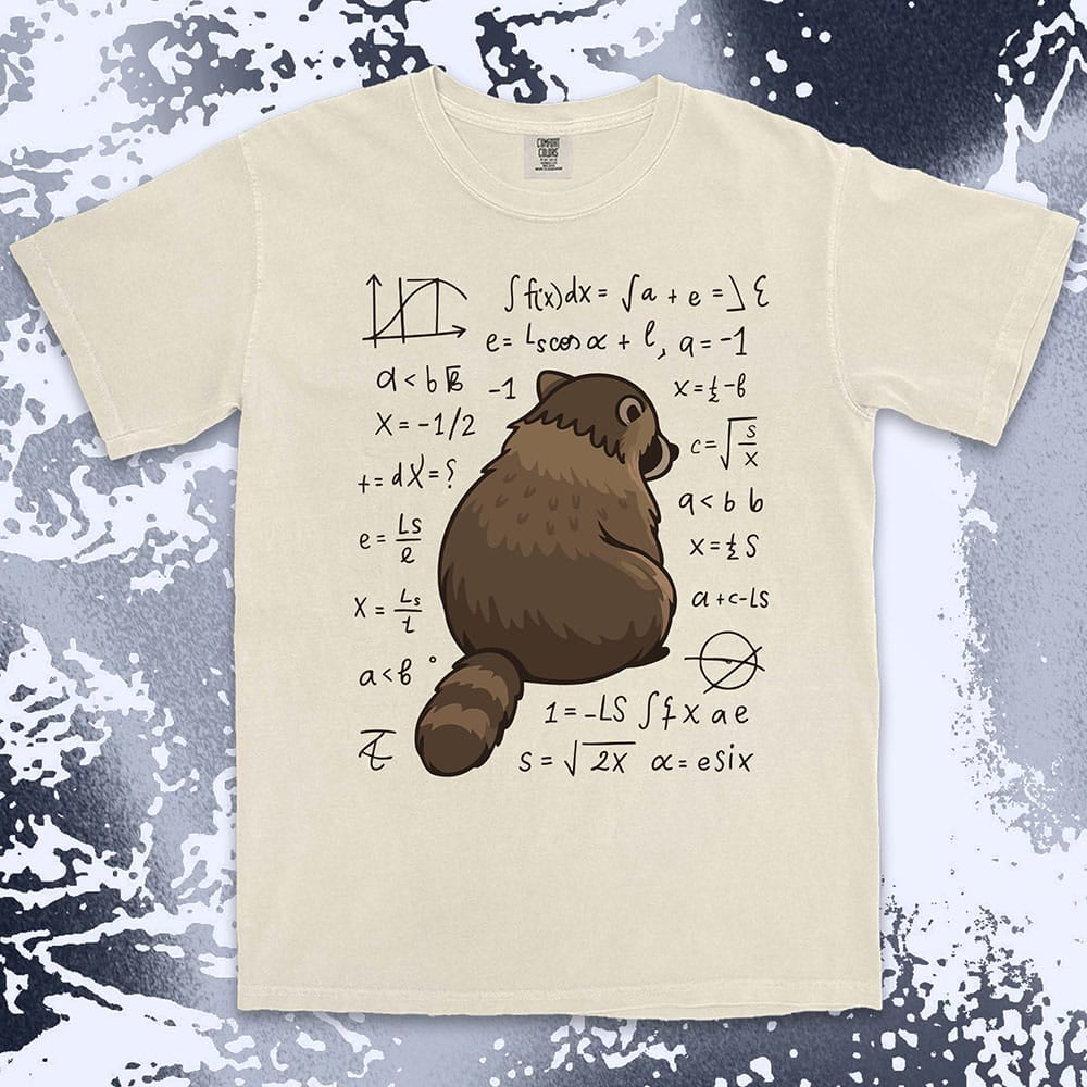 math raccoon surrounded by equations comfort colors t-shirt