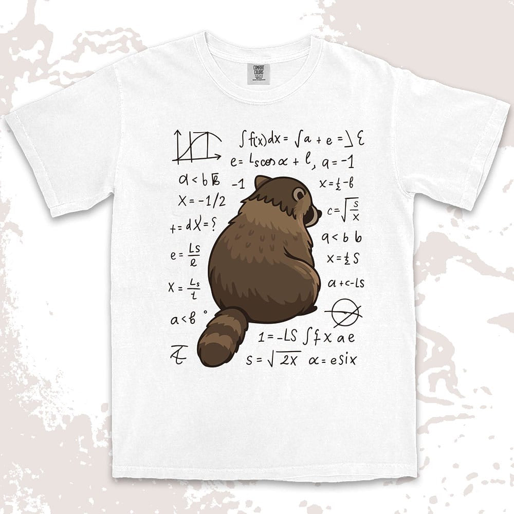 math raccoon surrounded by equations comfort colors t-shirt