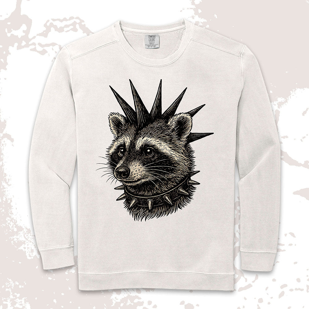 Punk Raccoon