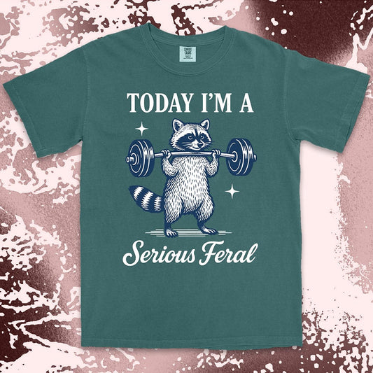 Serious feral raccoon