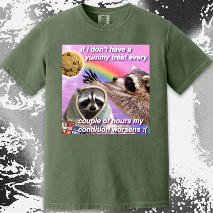If I Don’t Have a Yummy Treat Raccoon T-Shirt