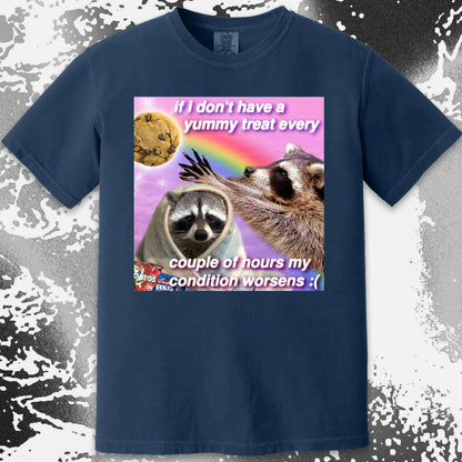 If I Don’t Have a Yummy Treat Raccoon T-Shirt