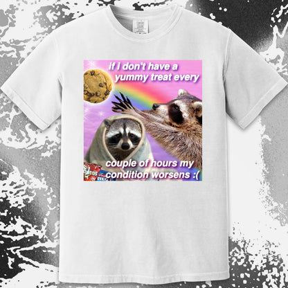 If I Don’t Have a Yummy Treat Raccoon T-Shirt