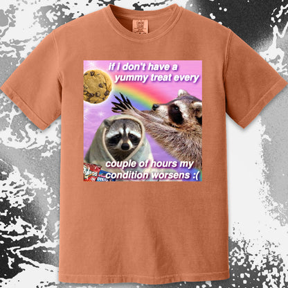 If I Don’t Have a Yummy Treat Raccoon T-Shirt