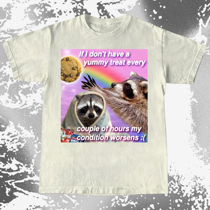 If I Don’t Have a Yummy Treat Raccoon T-Shirt