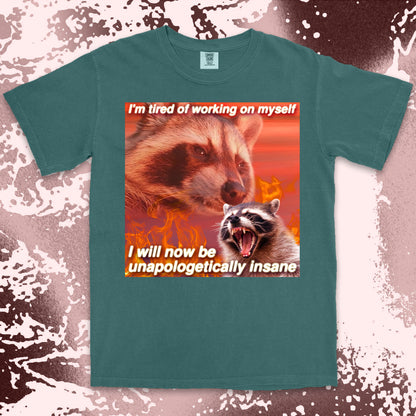 funny raccoon meme shirt unapologetically insane chaos humor aesthetic