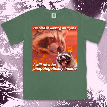funny raccoon meme shirt unapologetically insane chaos humor aesthetic