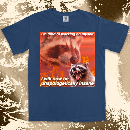 funny raccoon meme shirt unapologetically insane chaos humor aesthetic