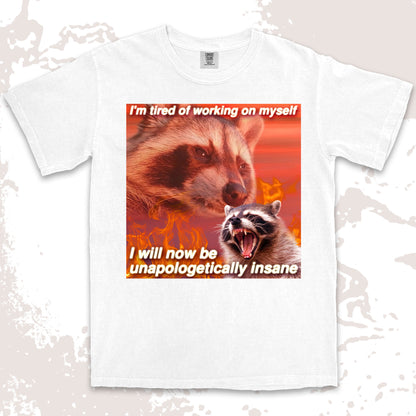funny raccoon meme shirt unapologetically insane chaos humor aesthetic