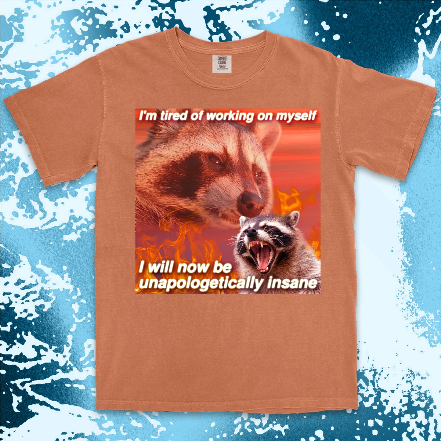 funny raccoon meme shirt unapologetically insane chaos humor aesthetic