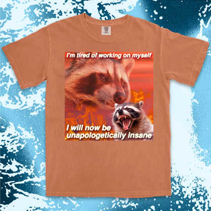 funny raccoon meme shirt unapologetically insane chaos humor aesthetic