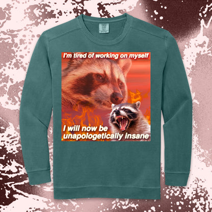 funny raccoon meme shirt unapologetically insane chaos humor aesthetic