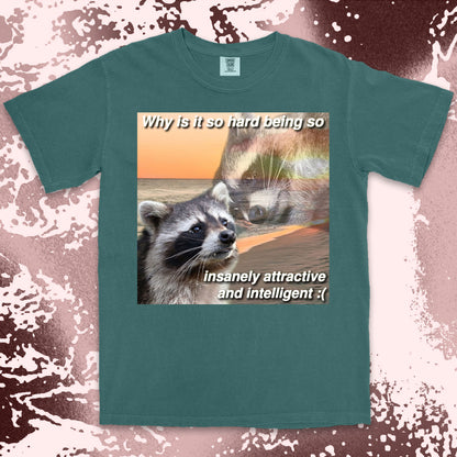 funny raccoon meme shirt insanely attractive intelligent humor aesthetic