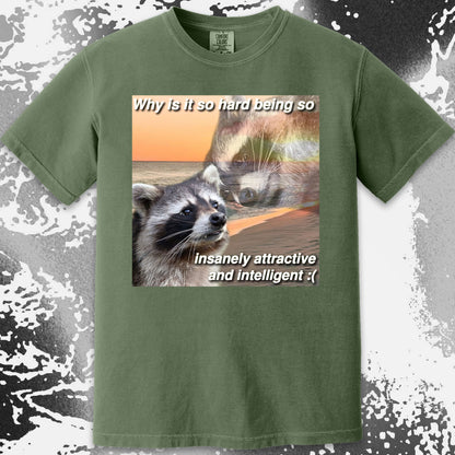 Insanely Attractive and Intelligent Raccoon T-Shirt