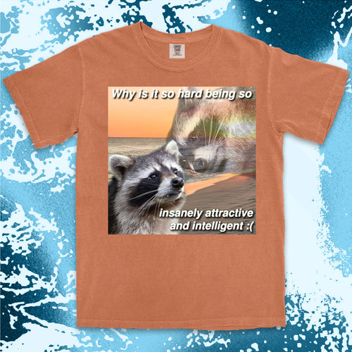 funny raccoon meme shirt insanely attractive intelligent humor aesthetic