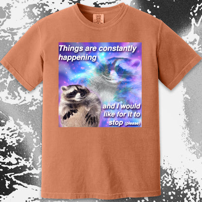 Things Are Constantly Happening Raccoon T-Shirt