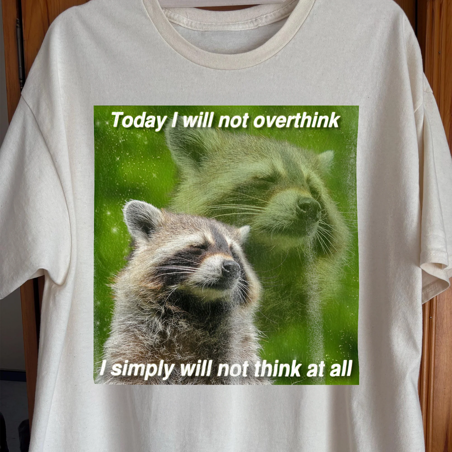 I Will Not Overthink Raccoon T-Shirt