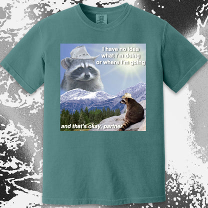 I Have No Idea What I’m Doing Raccoon T-Shirt