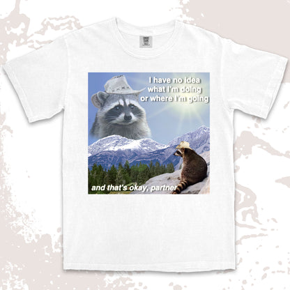 funny raccoon meme shirt cowboy raccoon i have no idea what im doing humor