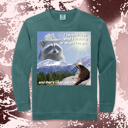 funny raccoon meme shirt cowboy raccoon i have no idea what im doing humor