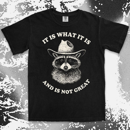 it is what it is raccoon shirt cowboy funny sad humor tee