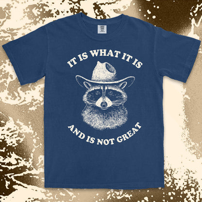 it is what it is raccoon shirt cowboy funny sad humor tee
