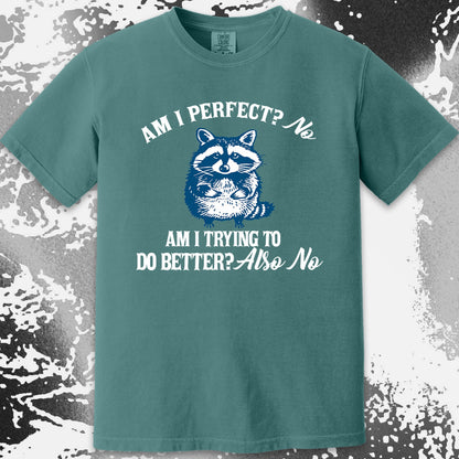 Am I Perfect? No Raccoon T-Shirt – Honest Self Awareness