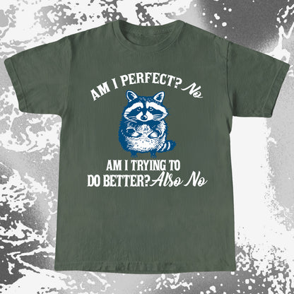 Am I Perfect? No Raccoon T-Shirt – Honest Self Awareness