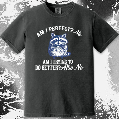 Am I Perfect? No Raccoon T-Shirt – Honest Self Awareness