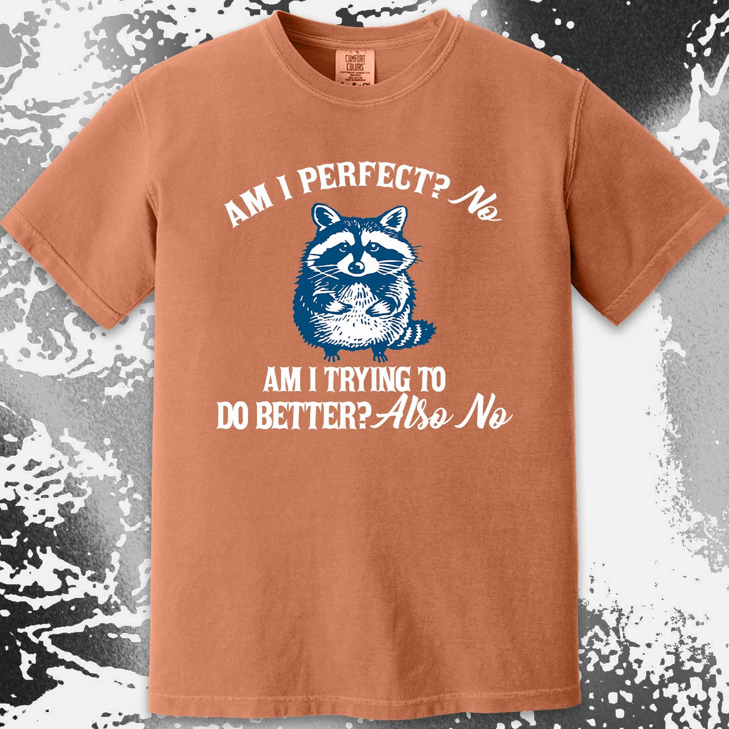 Am I Perfect? No Raccoon T-Shirt – Honest Self Awareness