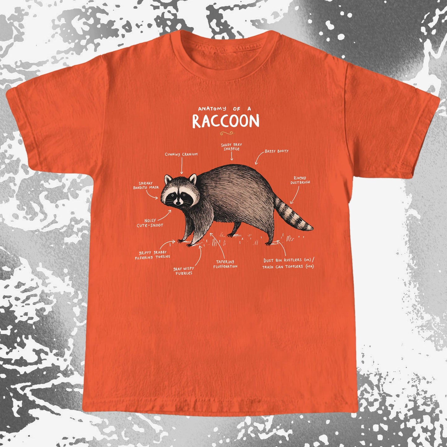 Anatomy of a Raccoon Funny Diagram