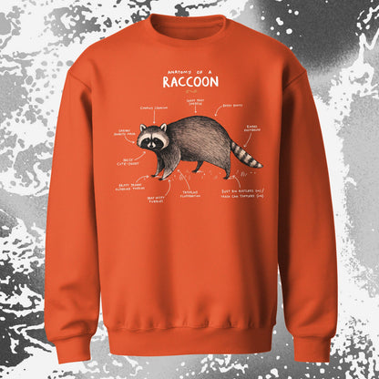 Anatomy of a Raccoon Funny Diagram