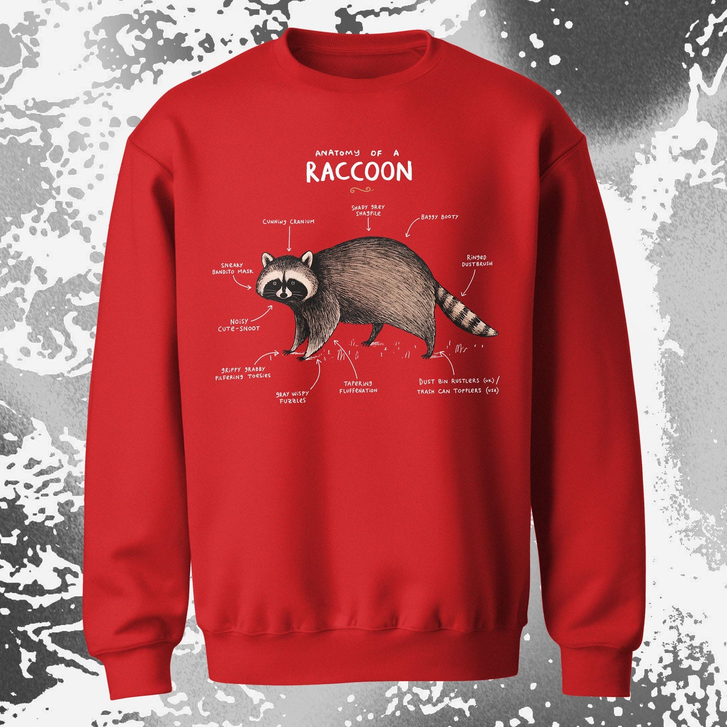 Anatomy of a Raccoon Funny Diagram