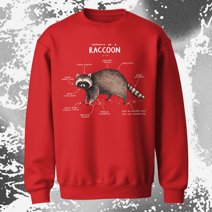 Anatomy of a Raccoon Funny Diagram